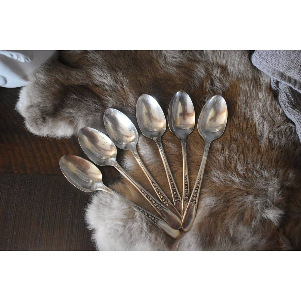 Six‎ WM Rogers Pricilla-ladyann teaspoons Original Rogers silverplate flatware